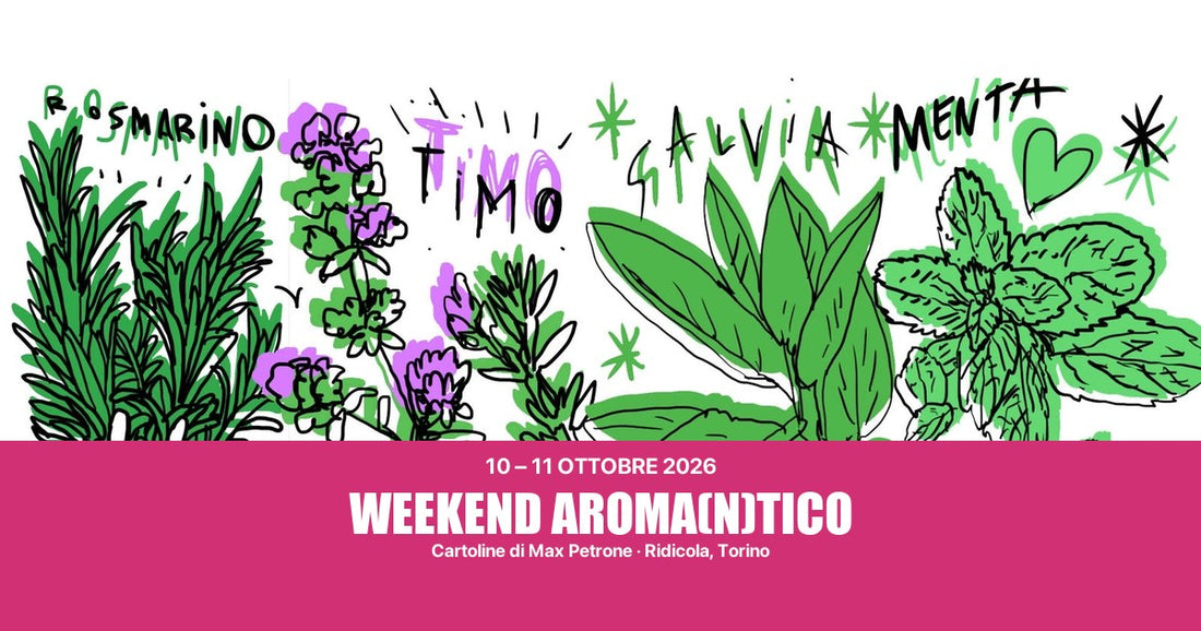 Weekend Aroma(n)tico: 10 e 11 ottobre 2026 da Ridicola a Torino, con le cartoline illustrate da Max Petrone